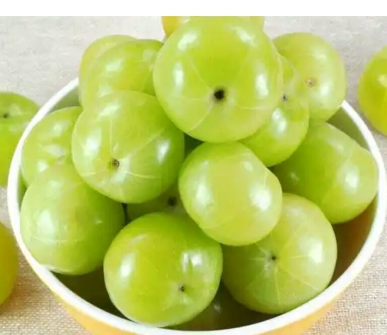 நெல்லிக்காய்  நோய் எதிர்ப்பு சக்தியை அதிகரிக்கும்.
