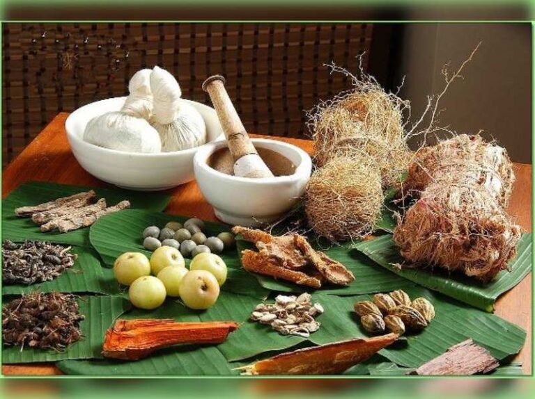 எந்த மூலிகை பொடி எதற்கு பயன்படும்..?