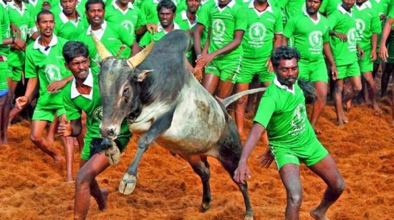 இன்று முதலமைச்சர் தலைமையில் அலங்காநல்லூரில் ஜல்லிக்கட்டு